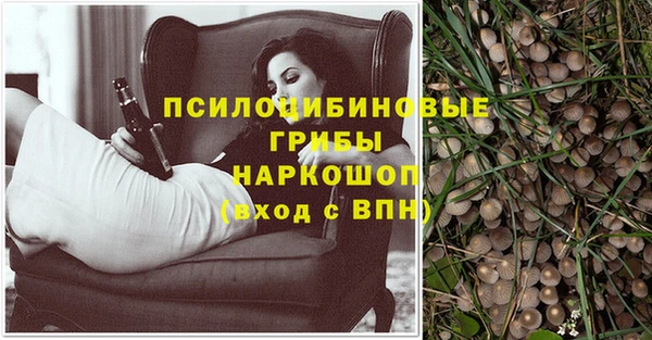 скорость Аркадак