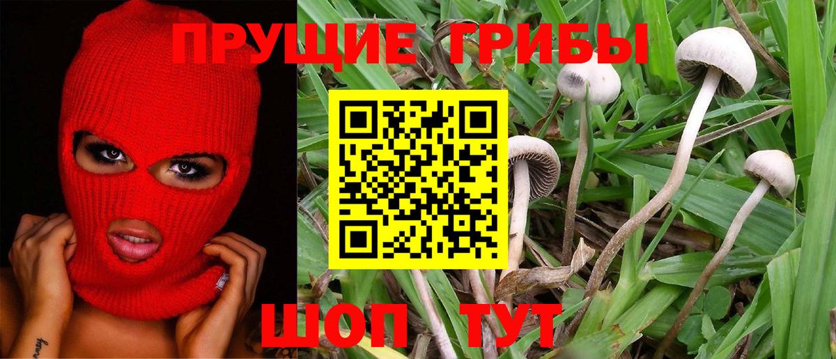 Псилоцибиновые грибы мухоморы  Вход с VPN  Псилоцибиновые грибы GOLDEN TEACHER  Уссурийск 