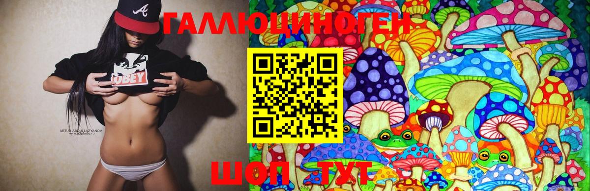 Псилоцибиновые грибы GOLDEN TEACHER Уссурийск